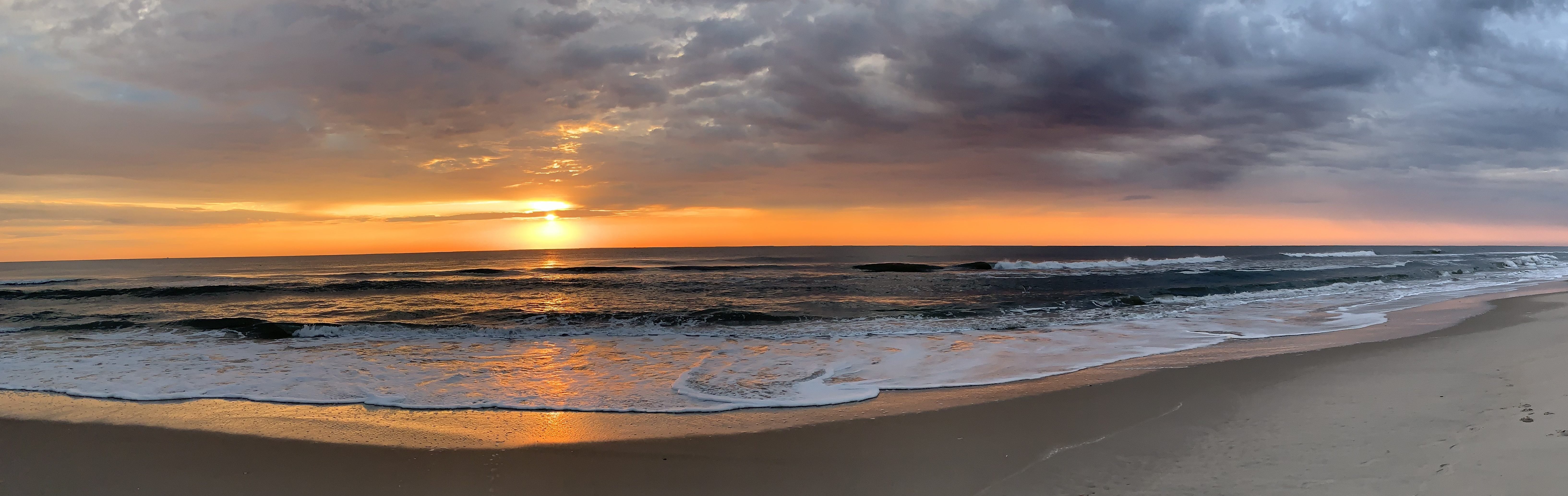 Welcome to the Prasse lab